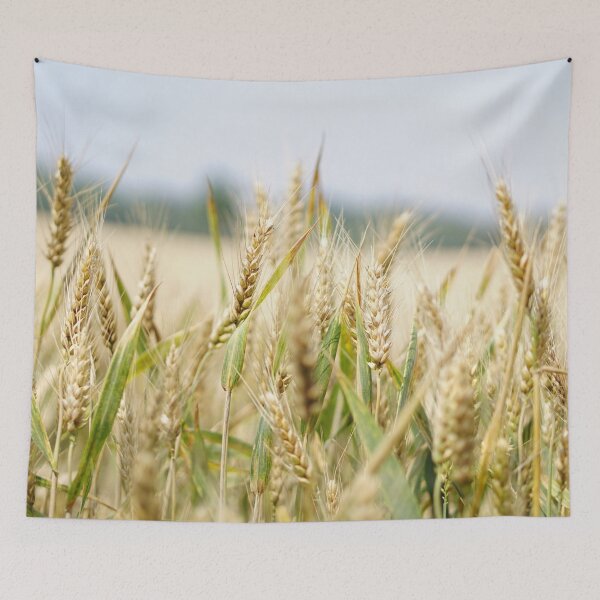 Item preview, ARABLE BARLEY FIELD designed and sold by Eston Kamau.