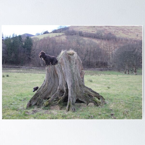 Artikelvorschau, Dogs And Stump entworfen und verkauft von Abiix.