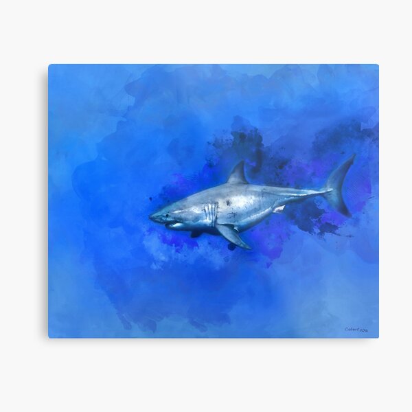 Great White Shark Printed Canvas Picture Multiple Sizes 30mm Deep Nautical Sea 