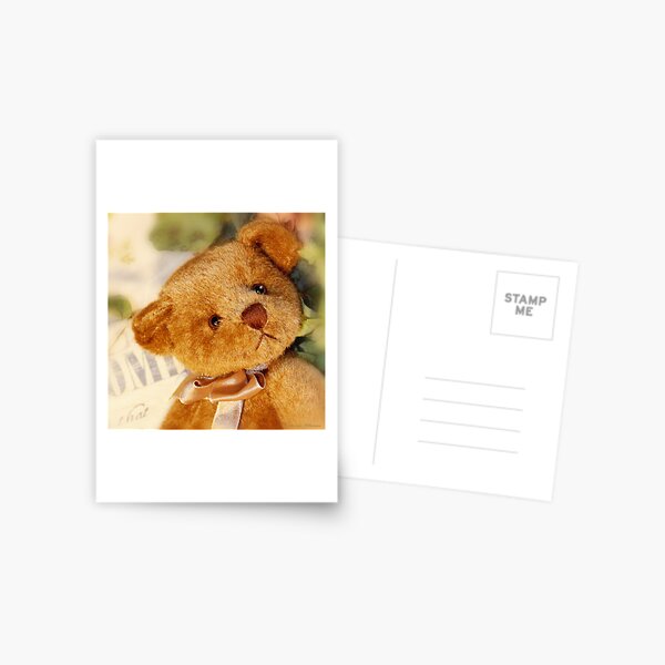 Sweet little teddyboy Postcard