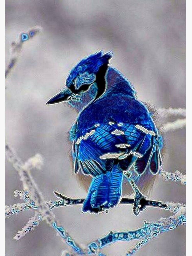 BLUEBIRD by michaeltodd