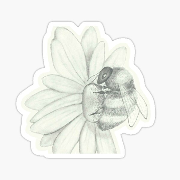 Bleistiftzeichnung Blume Geschenke Merchandise Redbubble