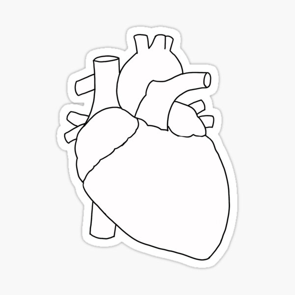 "Heart outline" Sticker for Sale by leannegrantt Redbubble