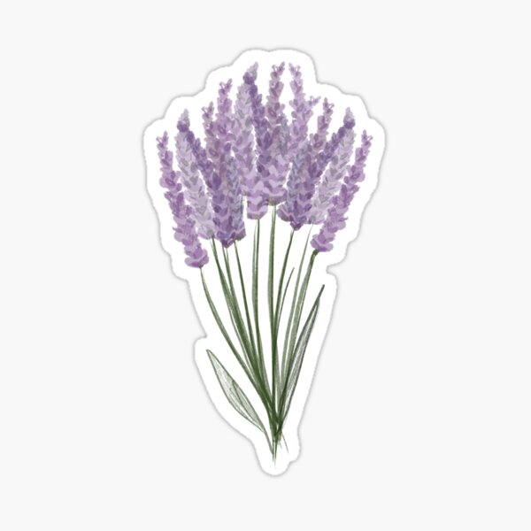 Item preview, large lavender bunch designed and sold by lavender-skyes.