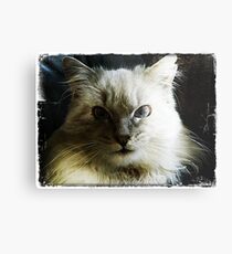 Alf Metal Print