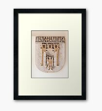 Coat of arms. Framed Print