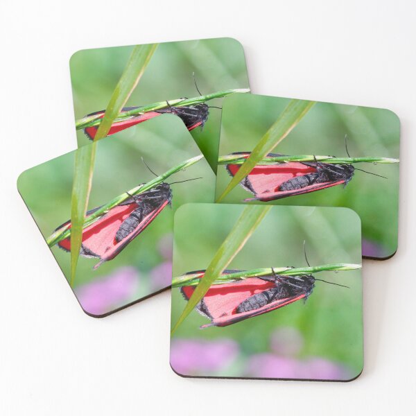 Item preview, Cinnabar moth designed and sold by Helen  Kelly.