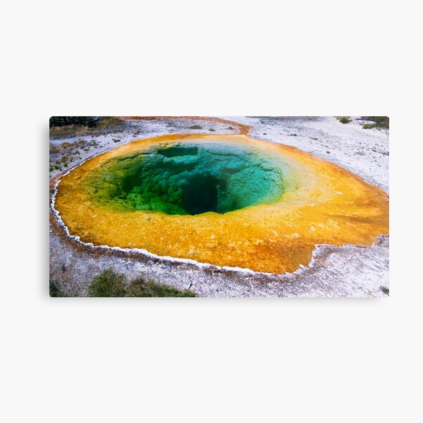 Morning Glory Pool in Yellowstone National Park, Wyoming Metal Print