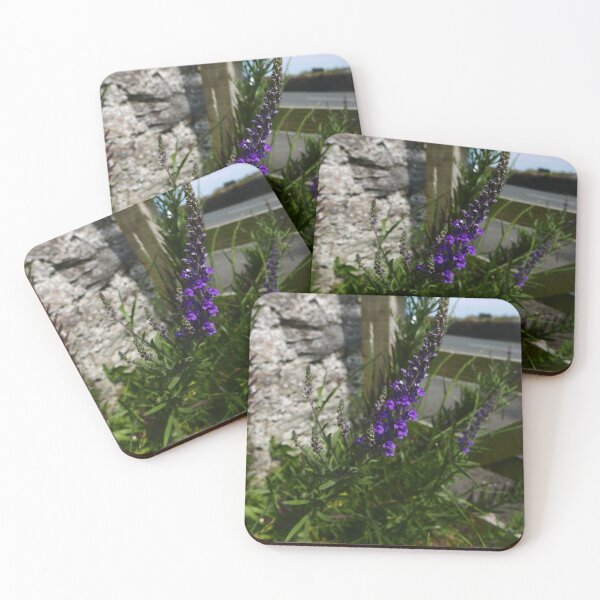 Item preview, Purple Toadflax (Linaria purpurea) designed and sold by IOMWildFlowers.