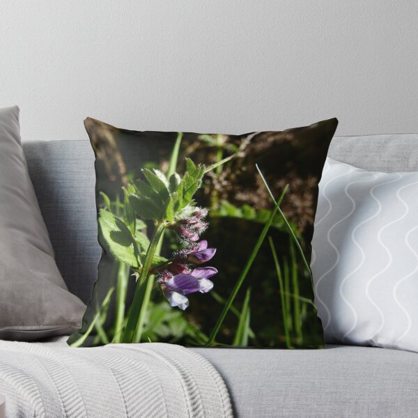 Artikelvorschau,  aber Bush Vetch ist die häufigste.

Wicke wurde einmal gekocht, um ein Mittel gegen Masern und Pocken zu machen.

Der Manx-Name für diese Blume lautet "Pishyr ny thammagyn".

http://manxwildflowers.com/flowers/118-bush-vetch-vicia-sepium-pishyr-ny- entworfen und verkauft von IOMWildFlowers.