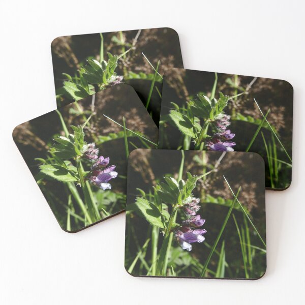 Item preview, Bush Vetch (Vicia sepium) designed and sold by IOMWildFlowers.