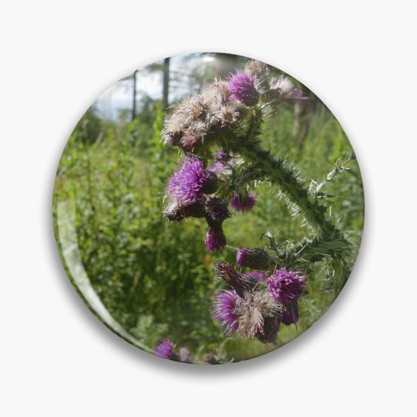 Item preview, Marsh Thistle (Cirsium palustre) designed and sold by IOMWildFlowers.