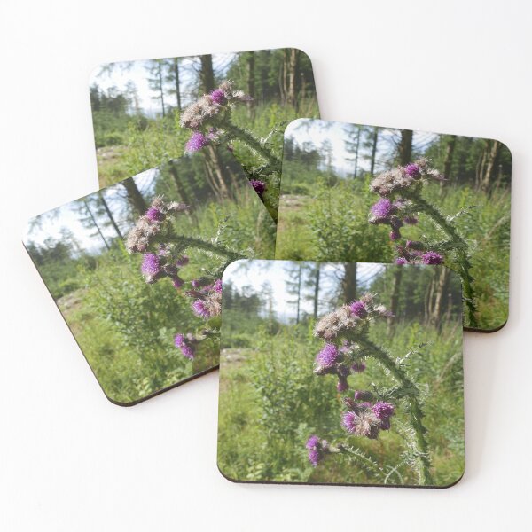 Item preview, Marsh Thistle (Cirsium palustre) designed and sold by IOMWildFlowers.