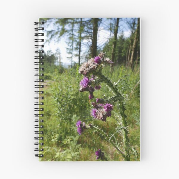Item preview, Marsh Thistle (Cirsium palustre) designed and sold by IOMWildFlowers.