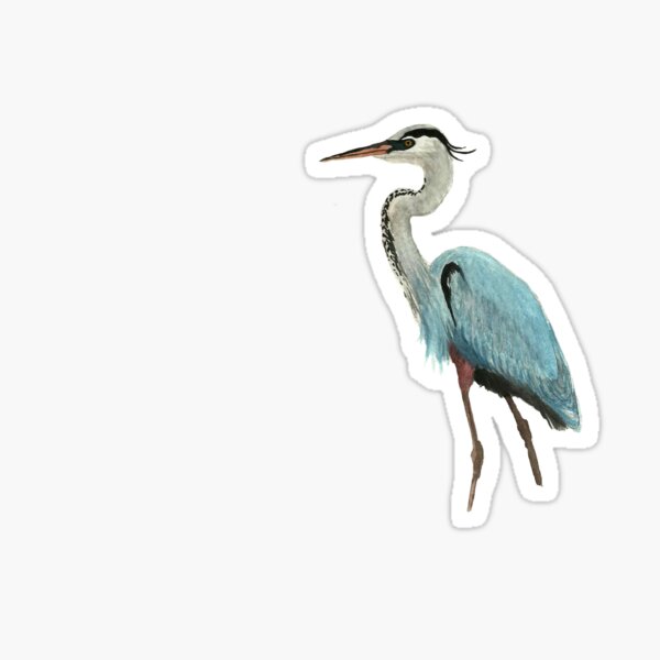 Great Blue Heron Sticker