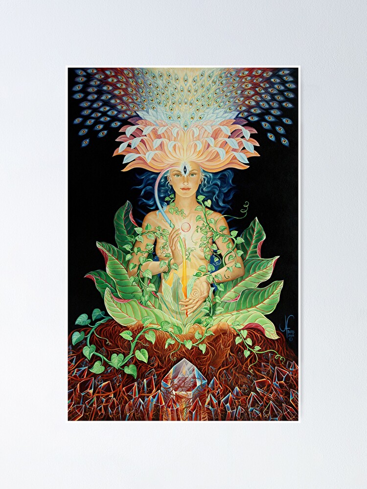 Alternate view of Illumination Poster