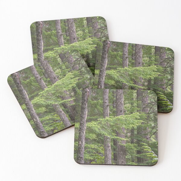 Item preview, Evergreen Forest - Manning Provincial Park designed and sold by Amy Mitchell.
