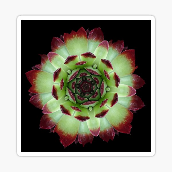 green flower Sticker