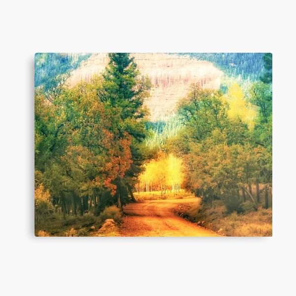 Autumn path Metal Print