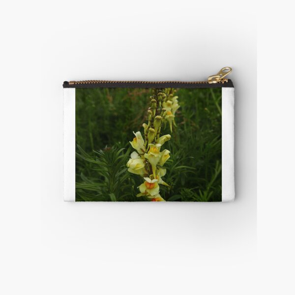 Item preview, Common Toadflax (Linaria vulgaris) designed and sold by IOMWildFlowers.