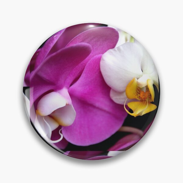 Item preview, Lip Sync designed and sold by Michael May.