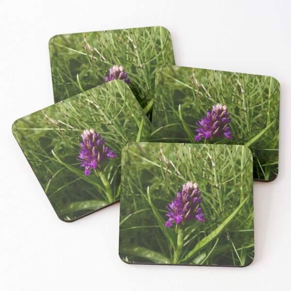 Item preview, Northern Marsh Orchid (Dactylorhiza purpurella) designed and sold by IOMWildFlowers.