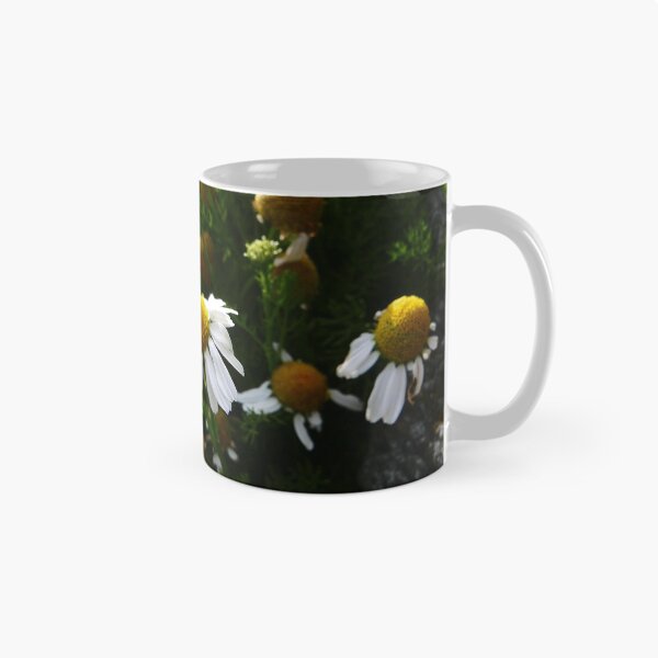 Item preview, Sea Mayweed (Tripleurospermum maritimum) designed and sold by IOMWildFlowers.