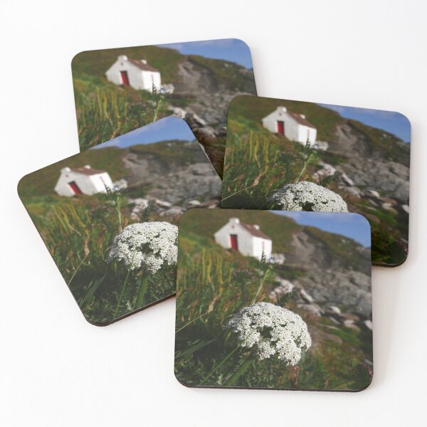 Item preview, Wild Carrot (Daucus carota) designed and sold by IOMWildFlowers.