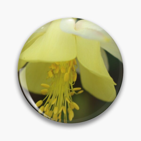 Item preview, Tender Yellow Bloom designed and sold by NatureGo.