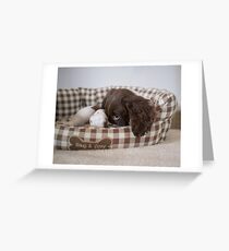 Snug and cosy Greeting Card