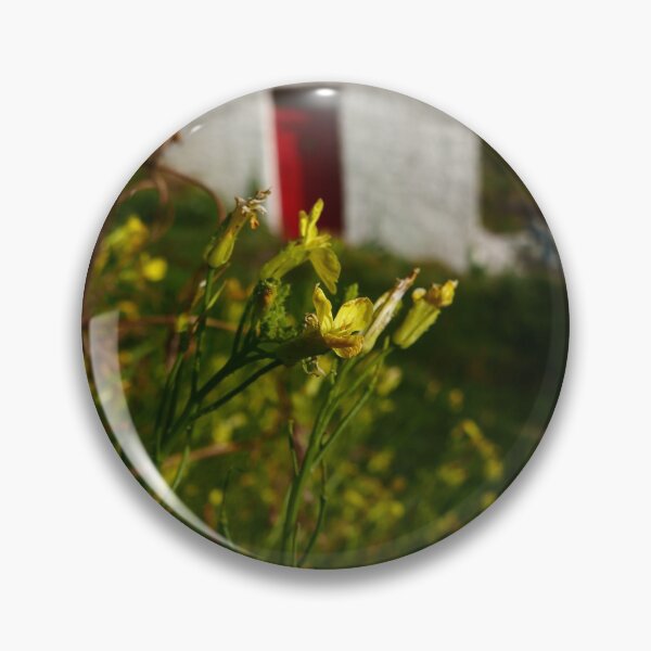 Item preview, Sea Radish (Raphanus raphanistrum ssp. maritimus) designed and sold by IOMWildFlowers.