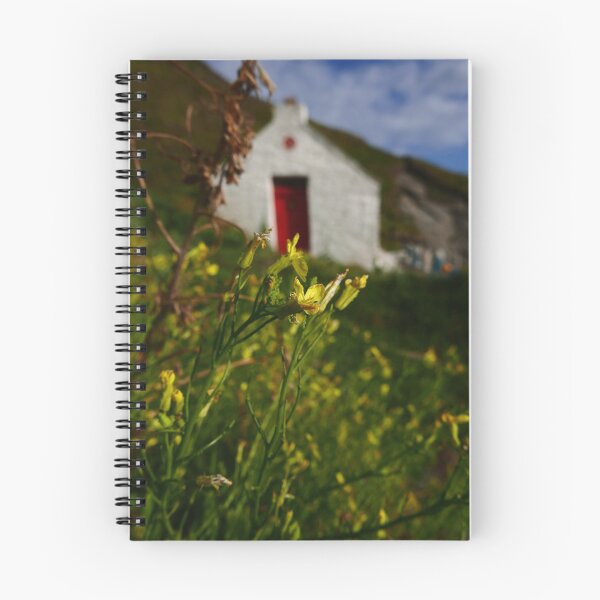 Item preview, Sea Radish (Raphanus raphanistrum ssp. maritimus) designed and sold by IOMWildFlowers.