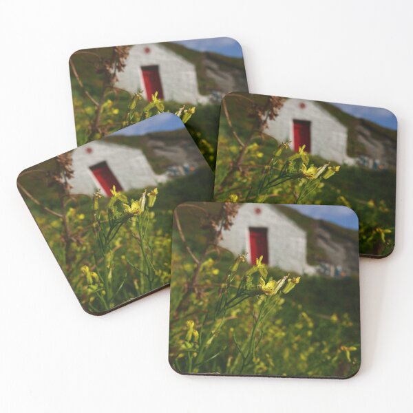 Item preview, Sea Radish (Raphanus raphanistrum ssp. maritimus) designed and sold by IOMWildFlowers.