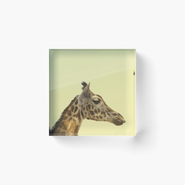 Artikelvorschau, Animal - poster - minimalist design girafa entworfen und verkauft von Tropical Blood.