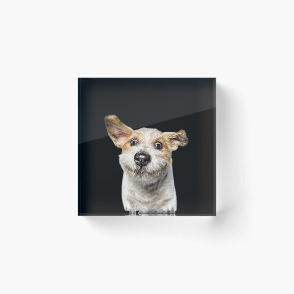 Item preview, dog designed and sold by BENAZCOMPANY.