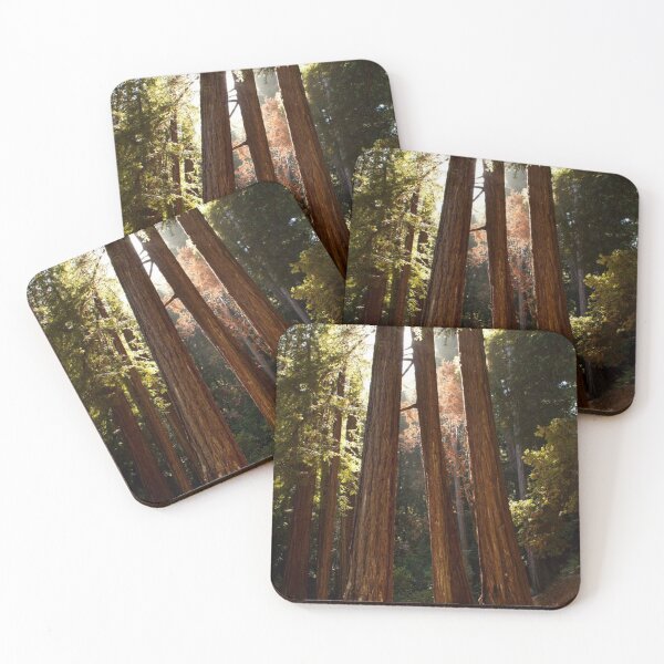 Item preview, Muir Woods designed and sold by Jacquelie.