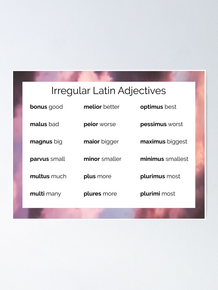 irregular-latin-adjectives-pastel-poster-by-sugardaddyhades-redbubble