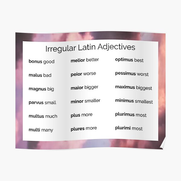 "Irregular Latin Adjectives Pastel" Poster by sugardaddyhades Redbubble