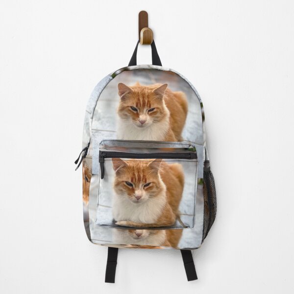 Item preview, Young reverent red-haired cat designed and sold by AHELENE.