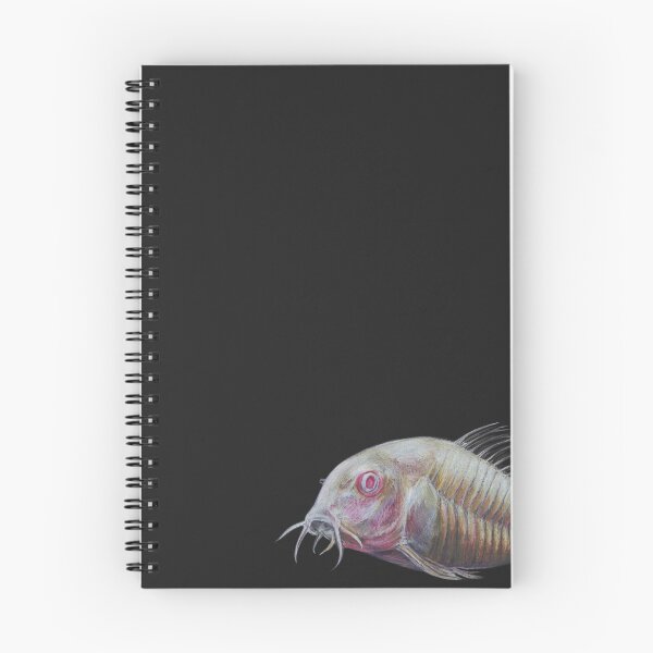 Item preview, Albino Cory Catfish designed and sold by CatharticOutlet.