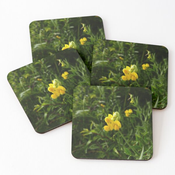 Item preview, Meadow Vetchling (Lathyrus pratensis) designed and sold by IOMWildFlowers.