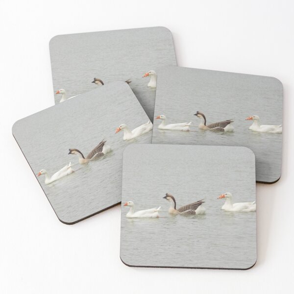 Item preview, Chinese Geese (Anser cygnoides) Swimming together  designed and sold by Inuyasha907.