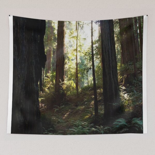 Item preview, Enchanted Forest designed and sold by Jacquelie.