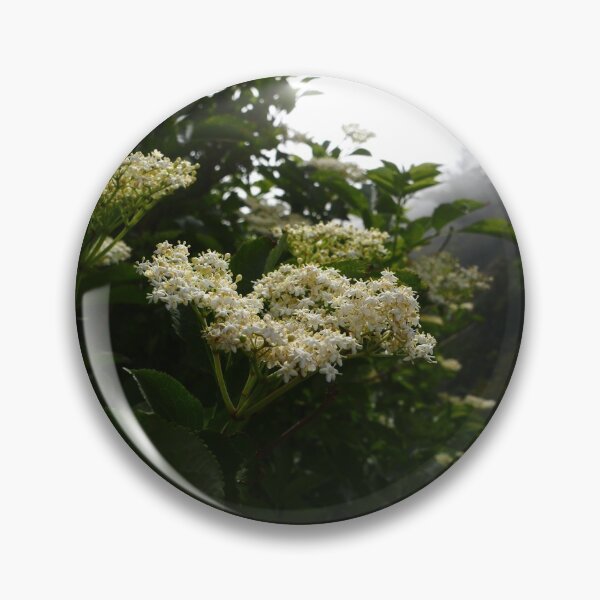 Item preview,  Elder (Sambucus) designed and sold by IOMWildFlowers.