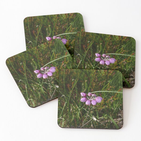 Item preview, Cross-leaved Heath (Erica tetralix) designed and sold by IOMWildFlowers.