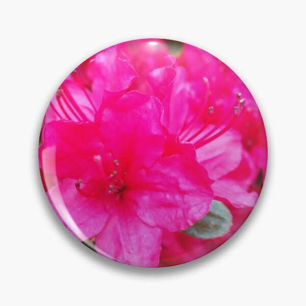 Aperçu de l'œuvre La vie en rose créée et vendue par M Minerrale.