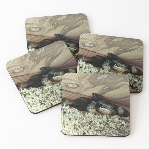Item preview, Baby Barn Swallows designed and sold by Emily Noyes.