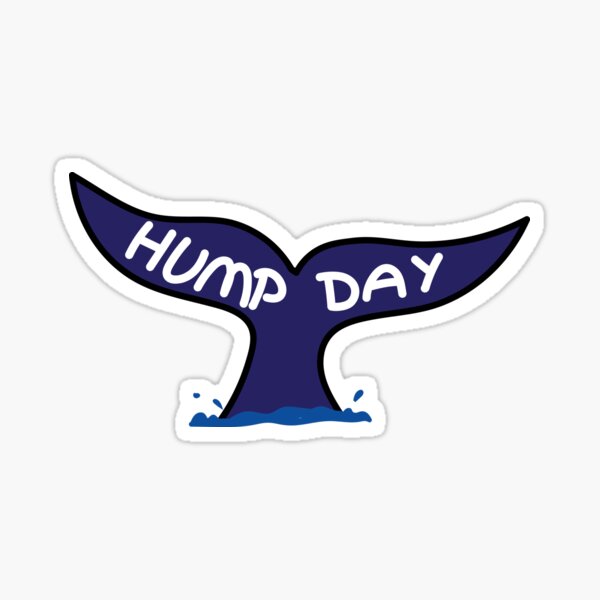 Hump day Whale Sticker