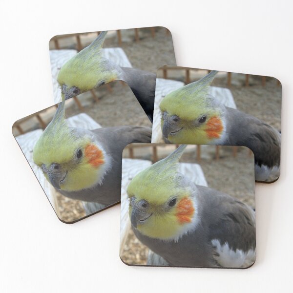 Item preview, Whatcha doin?? designed and sold by Sharon Perrett.