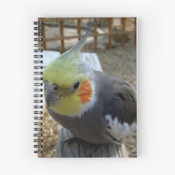 Item preview, Whatcha doin?? designed and sold by Sharon Perrett.
